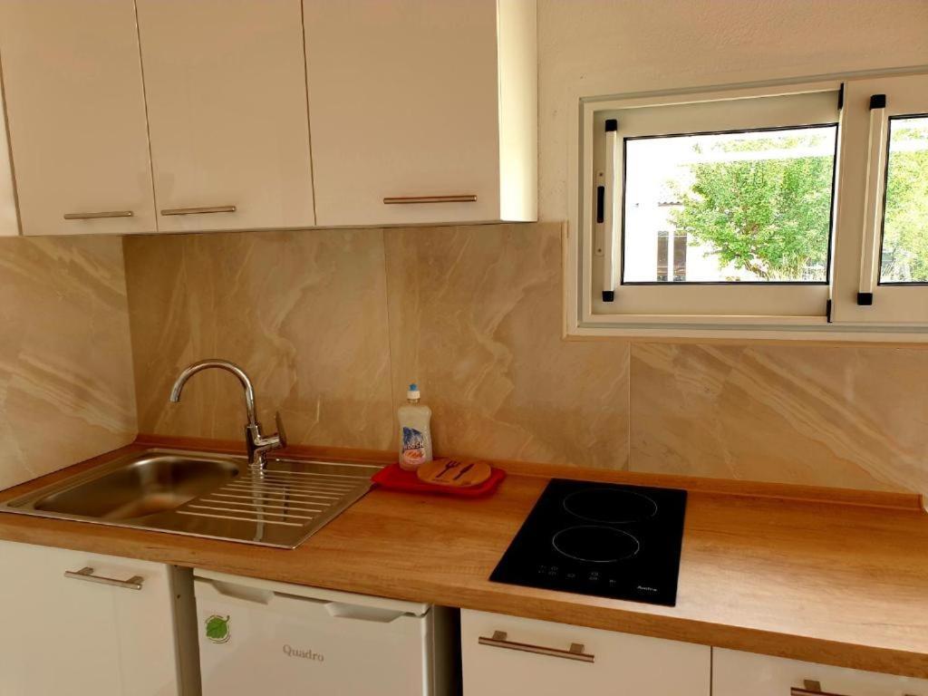 Apartments Hodanic 크르크 외부 사진